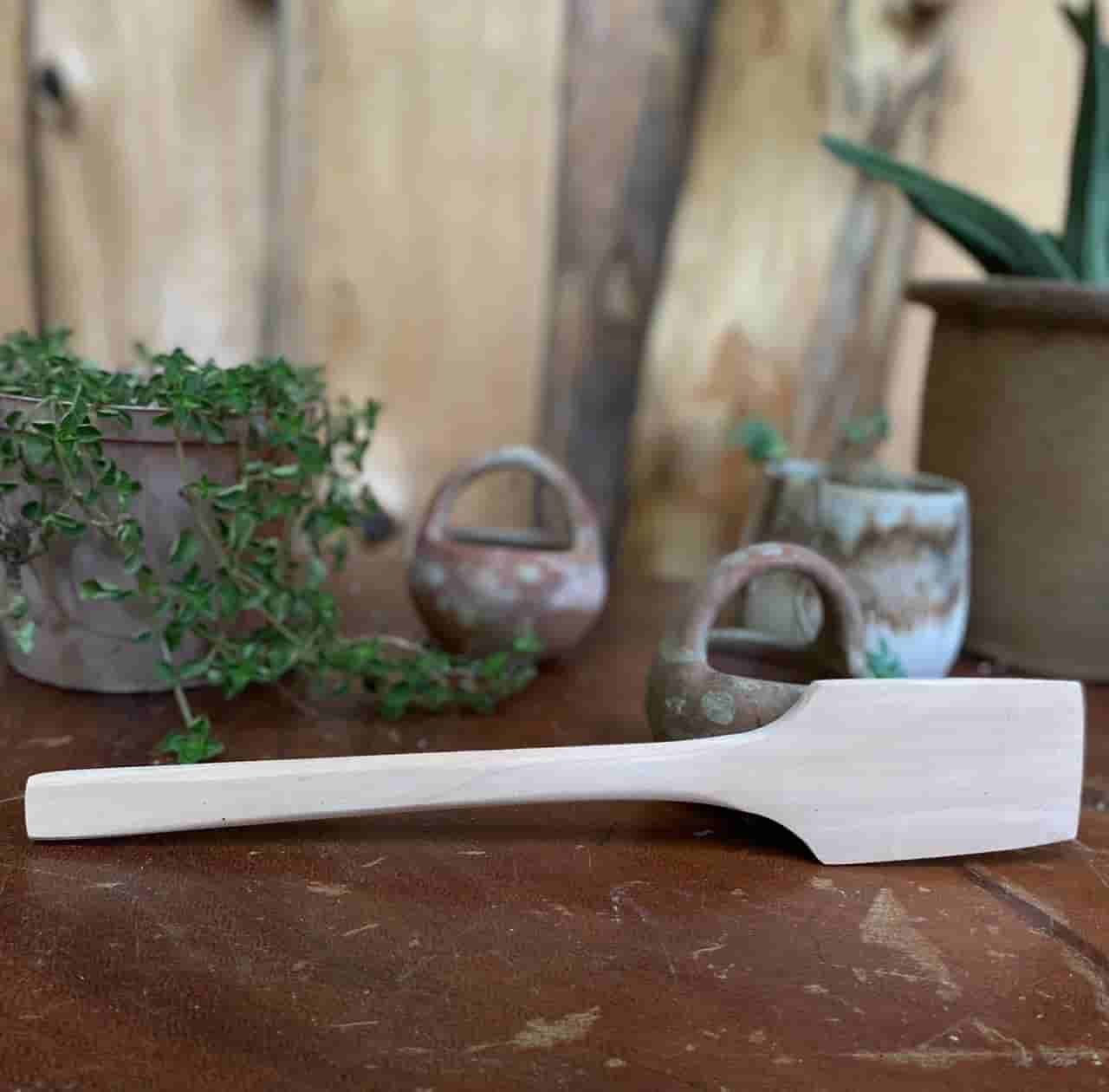 Paleta Mango Redondo - Imagen 3