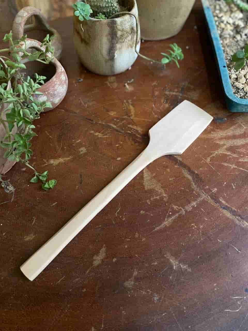 Paleta Mango Redondo